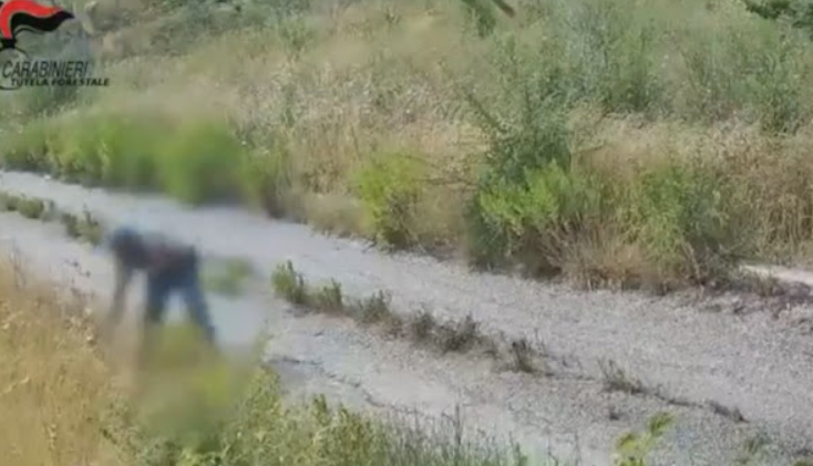 Скрити камери заснеха подпалвач на гора