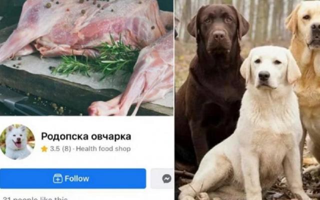 ОФЕРТА: Кучешко вместо агнешко за Великден